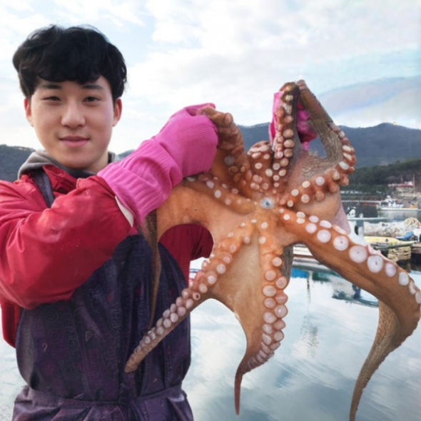 산지직송 통영 자연산 돌문어 1kg 제수용