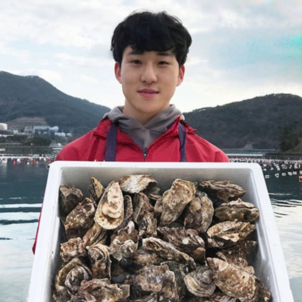 산지직송 통영굴 삼배체굴 석화 하프셀 생굴 손질 바위굴 벚굴