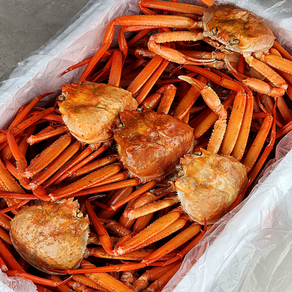 산지직송 구룡포 연지홍게  홍게제철  실속 가성비 3kg (10-12미)
