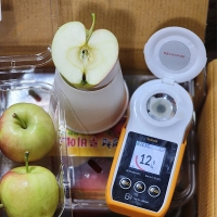 아삭하고 상큼한맛  미니사과 루비에스  