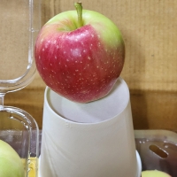 아삭하고 상큼한맛  미니사과 루비에스  