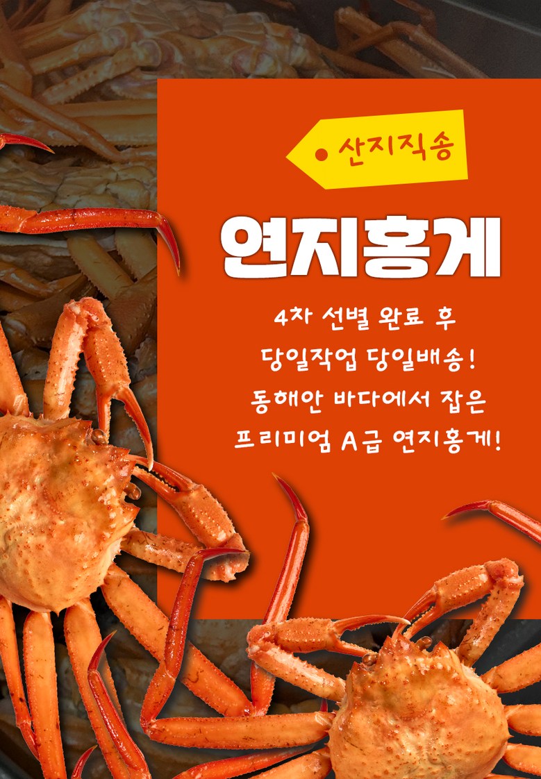 산지직송 구룡포 연지홍게  홍게제철  실속 가성비 3kg (10-12미)