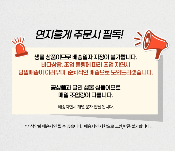 산지직송 구룡포 연지홍게  홍게제철  실속 가성비 3kg (10-12미)