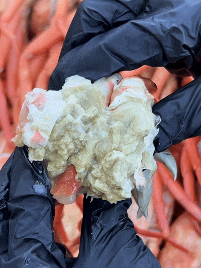 산지직송 구룡포 연지홍게  홍게제철  실속 가성비 3kg (10-12미)