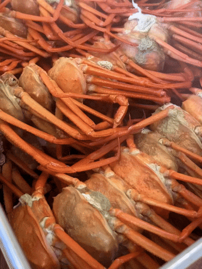 산지직송 구룡포 연지홍게  홍게제철  실속 가성비 3kg (10-12미)