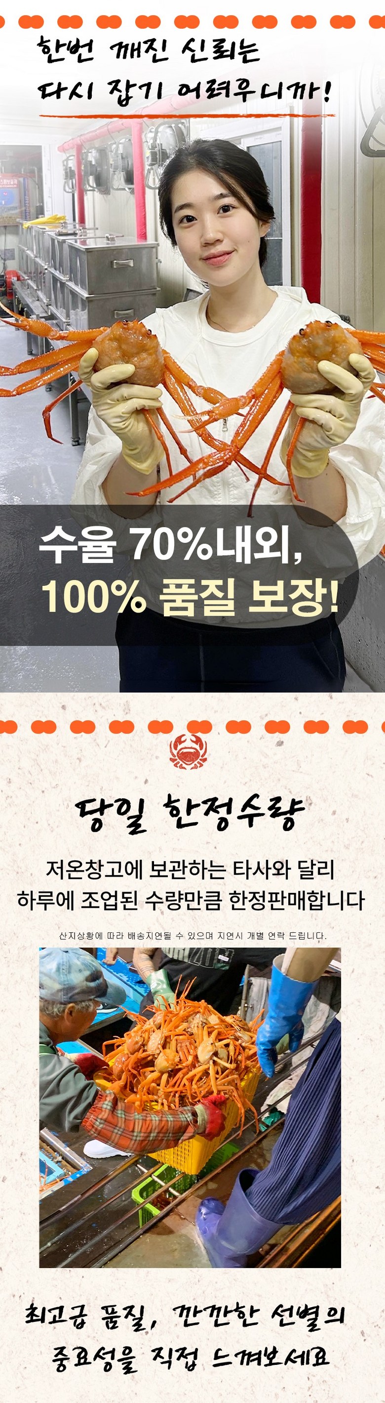 산지직송 구룡포 연지홍게  홍게제철  실속 가성비 3kg (10-12미)