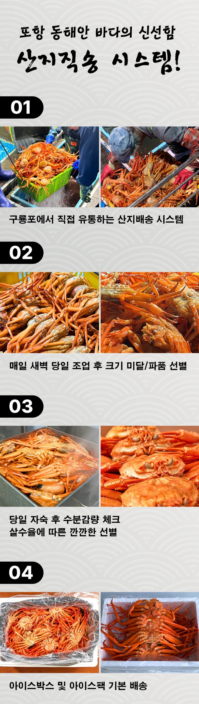 산지직송 구룡포 연지홍게  홍게제철  실속 가성비 3kg (10-12미)